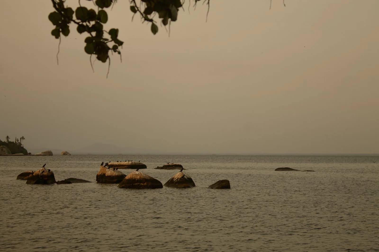 Barcos alinhados no fim da tarde