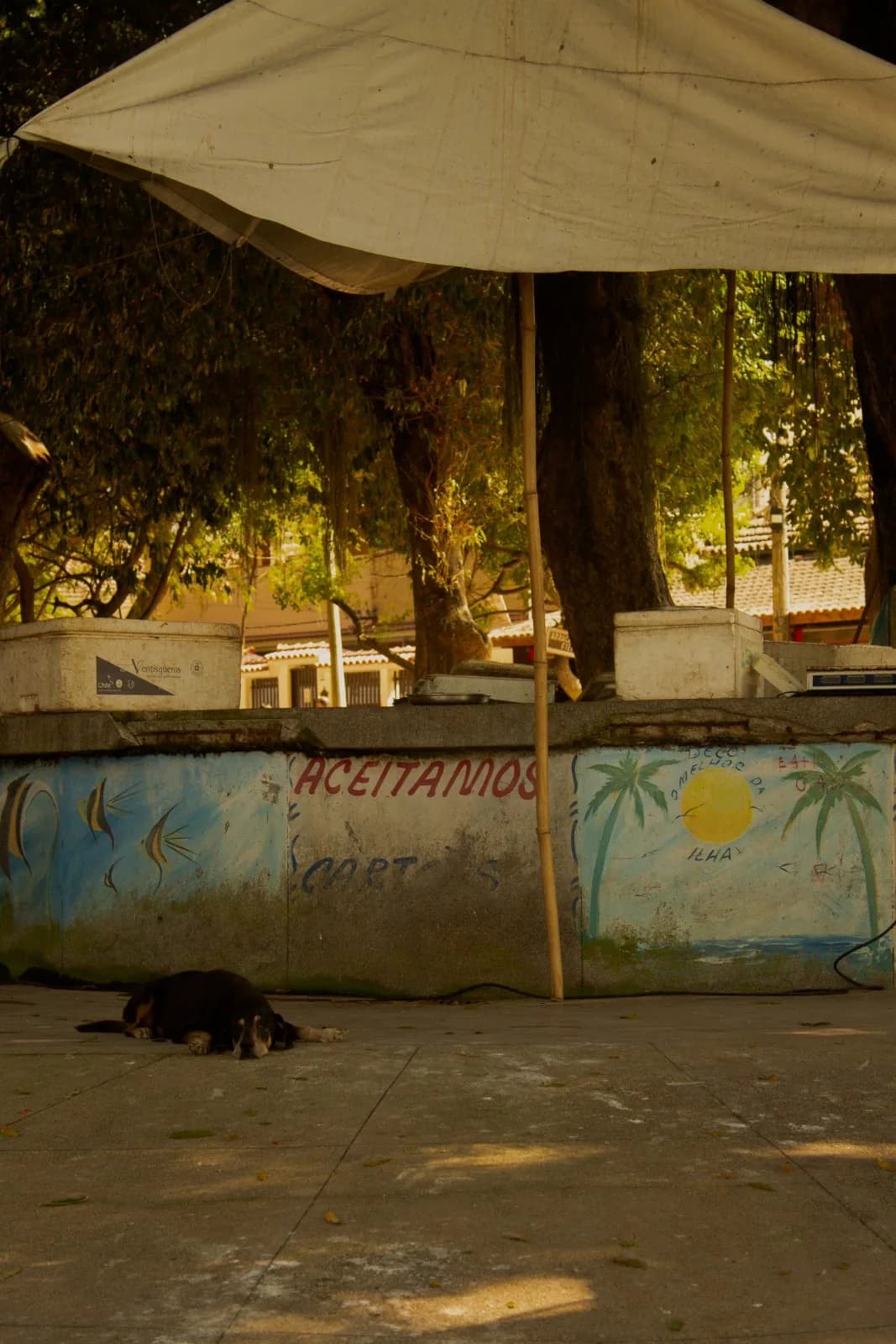 Quiosque fechado e cachorro
