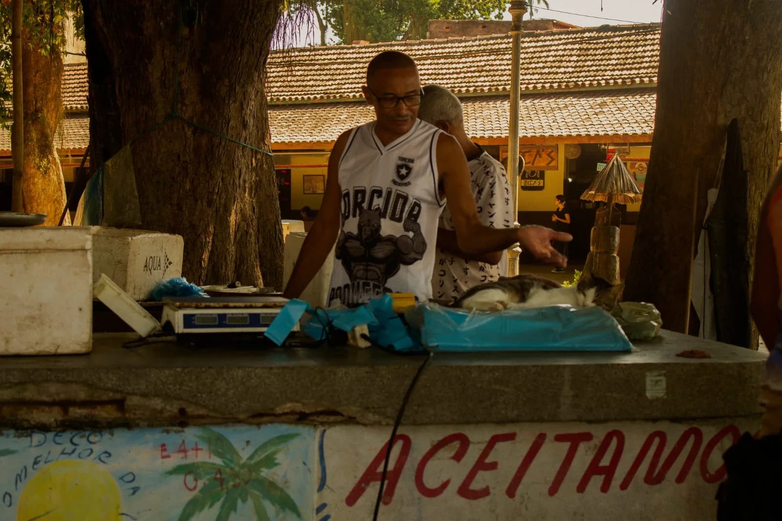 Barraca com placa pintada
